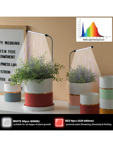 Lámpara de Crecimiento Juhefa 6000K LED para Plantas de Interior Lámpara de Crecimiento Juhefa 6000K LED para Plantas de Interior