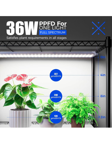 Invernadero Interior Barrina WI36 con Luz LED 36W 4 Niveles