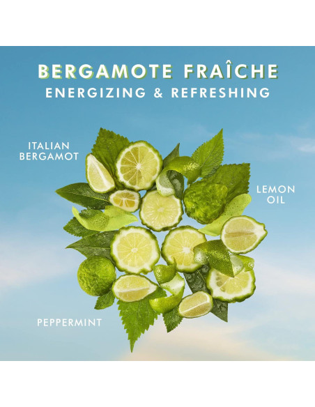 Jabón de Manos y Gel de Ducha Moroccanoil 500ml Jabón de Manos y Gel de Ducha Moroccanoil 500ml