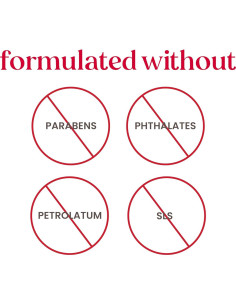 Máscara de Labios Hidratante Burt's Bees 100% Natural 4.25g 2