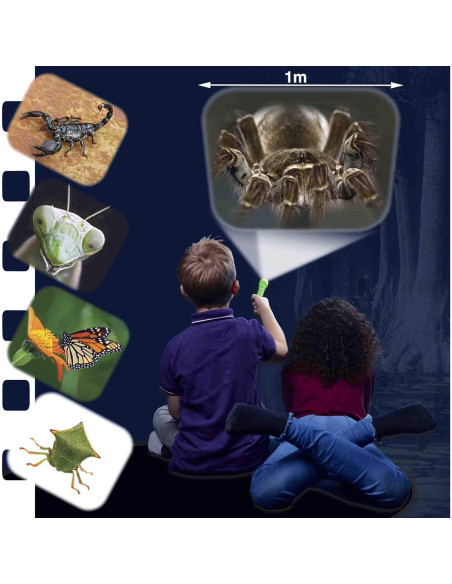 Linterna Proyector Insectos Espeluznantes Brainstorm 11 cm Linterna Proyector Insectos Espeluznantes Brainstorm 11 cm