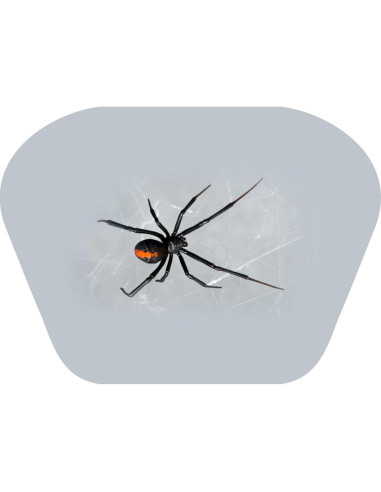 Linterna Proyector Insectos Espeluznantes Brainstorm 11 cm
