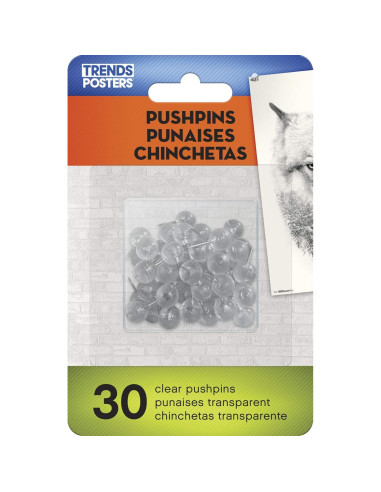 Póster de Pared Johnny Bravo Trends International 37.4x56.8cm