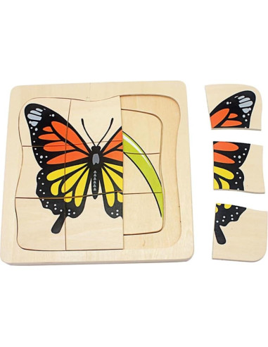 Rompecabezas 3D Ciclo de Vida de la Mariposa Gudong