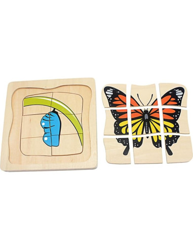 Rompecabezas 3D Ciclo de Vida de la Mariposa Gudong