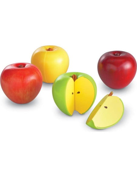 Set de Fracciones Magnéticas Recursos de Aprendizaje 10 Piezas Set de Fracciones Magnéticas Recursos de Aprendizaje 10 Piezas