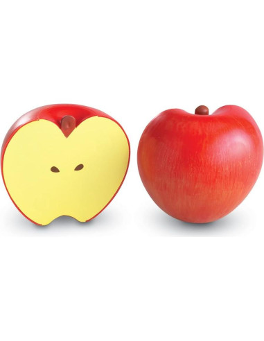 Set de Fracciones Magnéticas Recursos de Aprendizaje 10 Piezas