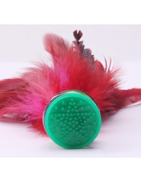 Shuttlecock Galepromot 20CM Plumas Coloridas para Jianzi Shuttlecock Galepromot 20CM Plumas Coloridas para Jianzi