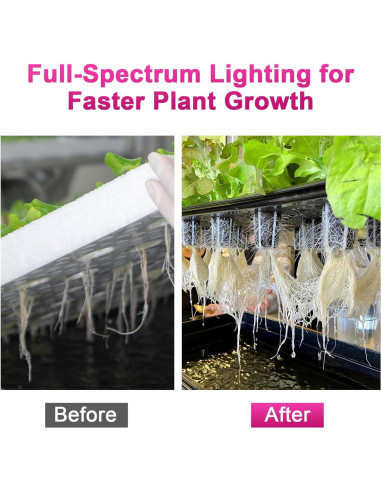 Luz de Cultivo LED Vcycal 150W Espectro Completo Impermeable