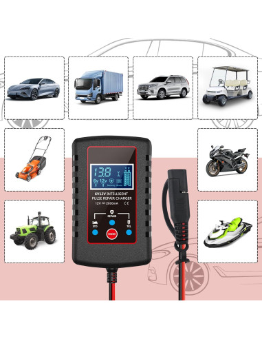 Cargador de goteo Stacool 12V/6V automático para batería