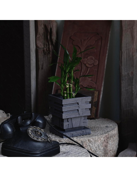 Maceta Cuadrada de Resina Forkai 13.5 cm con Drenaje Maceta Cuadrada de Resina Forkai 13.5 cm con Drenaje