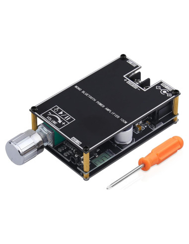 Placa Amplificadora Bluetooth ARRAROWN ZK-1001B 100W Mono