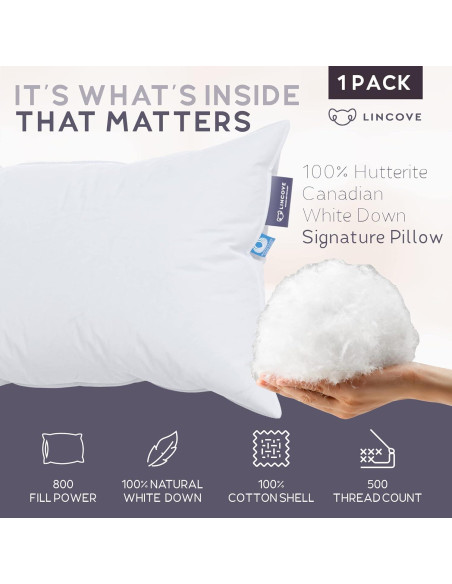 Almohada Lincove 100% Algodón Plumón Canadiense Estándar Almohada Lincove 100% Algodón Plumón Canadiense Estándar
