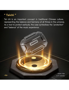 Funda Dura CCZ Taichi para Auriculares IEM - Negro 2