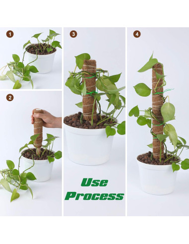 Poste de Musgo Augshy 50.8 cm Soporte para Plantas Trepadoras