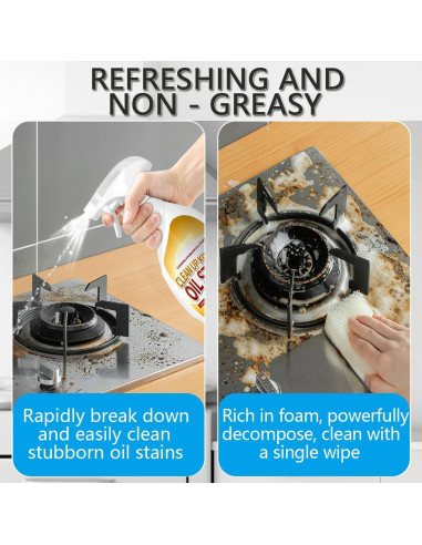 Desengrasante de Cocina TGLIPI 250g Spray Limpiador Multiusos