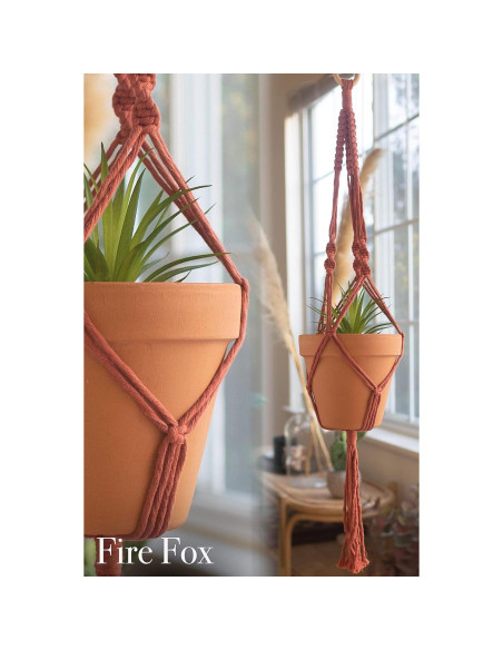 Kit de Macramé Aesthetic Creative para 3 Soportes de Plantas Kit de Macramé Aesthetic Creative para 3 Soportes de Plantas