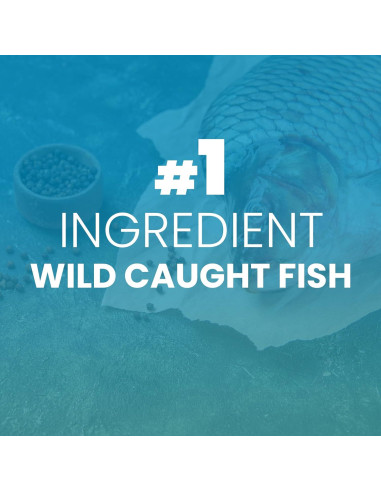 Colágeno Marino para Perros Brightway Pets - Salud Articular y Piel