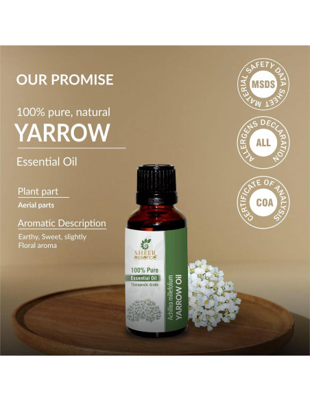 Aceite Esencial de Yarrow 100% Puro 15 ml - Sheer Essence Aceite Esencial de Yarrow 100% Puro 15 ml - Sheer Essence