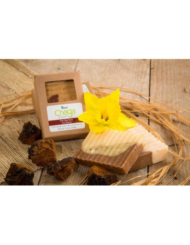 Jabón Natural de Hongo Chaga Sayan con Vino Tinto 100g
