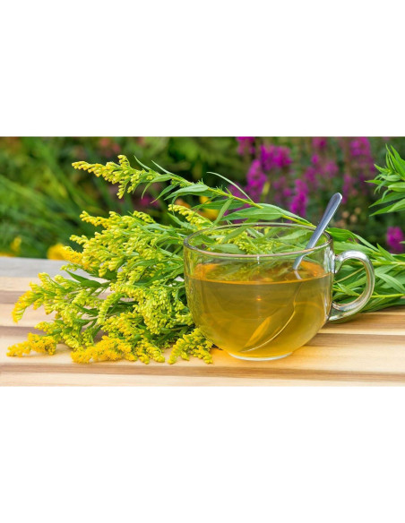 Té Herbal de Hierba de Goldenrod Health Embassy 50g Té Herbal de Hierba de Goldenrod Health Embassy 50g