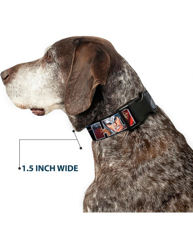 Collar de Perro Buckle-Down Thor 1.27 cm Ajustable 20-30 cm