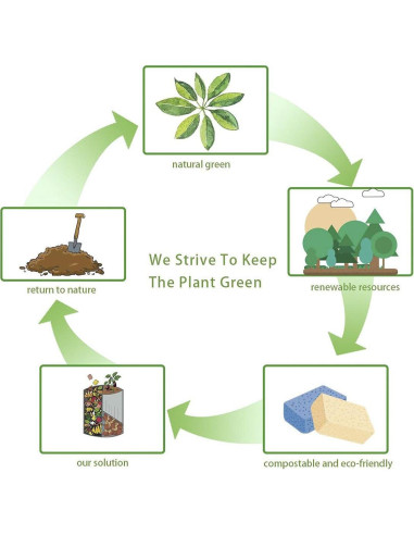 Esponjas de Celulosa Ecológicas Greenet, Paquete de 8 Grandes