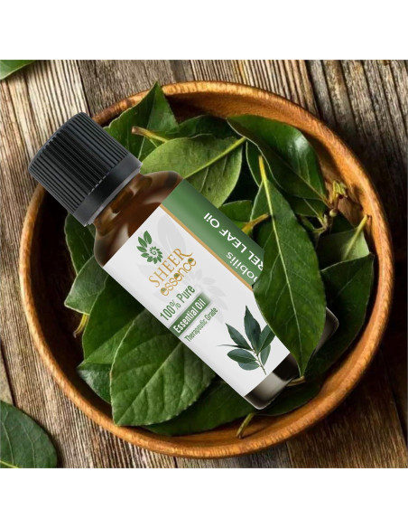 Aceite Esencial de Hoja de Laurel 100% Puro 4.73 ml Sheer Essence Aceite Esencial de Hoja de Laurel 100% Puro 4.73 ml Sheer Essence