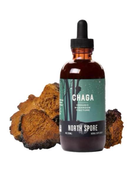Tintura de Chaga Orgánico North Spore 118 ml - Adaptogénico Tintura de Chaga Orgánico North Spore 118 ml - Adaptogénico
