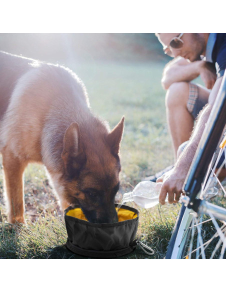 Tazón de Viaje Plegable LumoLeaf 2L para Perros y Gatos Tazón de Viaje Plegable LumoLeaf 2L para Perros y Gatos