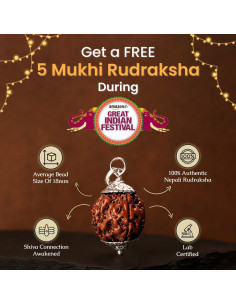 Mala de Rudraksha 5 Mukhi Original con Bolsa de Japa 8mm 2