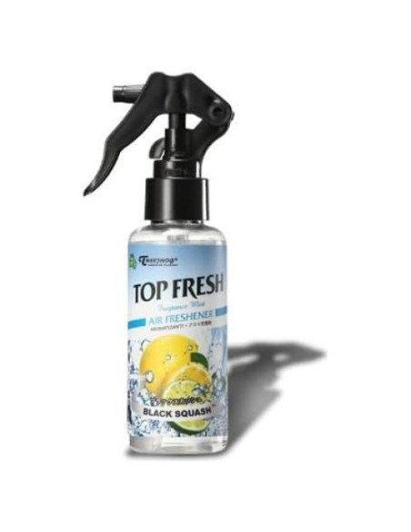 Ambientador en Spray Auto Dynasty 100ml Aroma Calabaza Negra Ambientador en Spray Auto Dynasty 100ml Aroma Calabaza Negra