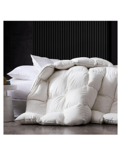Edredón de Plumas de Ganso Reina HOMELYSIAN 90x90 cm Blanco