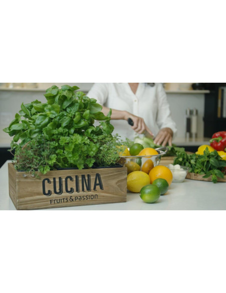 Jabón de Manos Orgánico Cucina 1L Cilantro y Olivo Vegano Jabón de Manos Orgánico Cucina 1L Cilantro y Olivo Vegano
