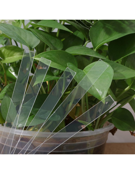 Etiquetas de Identificación de Plantas CHGCRAFT 60 Pcs Acrílico Etiquetas de Identificación de Plantas CHGCRAFT 60 Pcs Acrílico