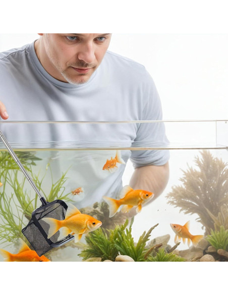 Red de Pescado SynHHergyx para Acuario 2 Piezas 7.6 cm Red de Pescado SynHHergyx para Acuario 2 Piezas 7.6 cm