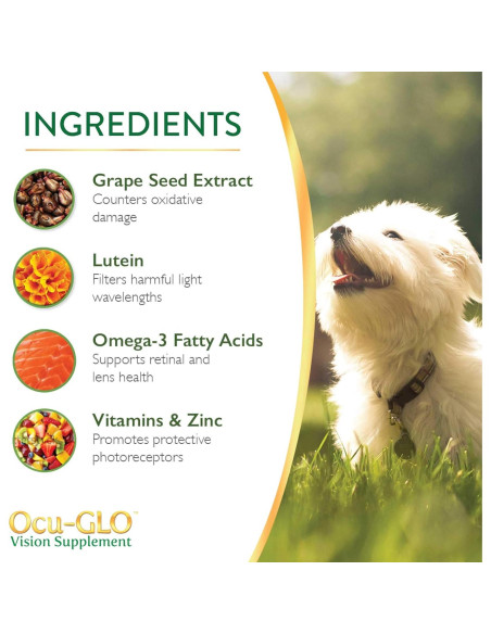 Suplemento Ocu-GLO Animal Necessity 45 Cápsulas Gel Perros Pequeños Suplemento Ocu-GLO Animal Necessity 45 Cápsulas Gel Perros Pequeños