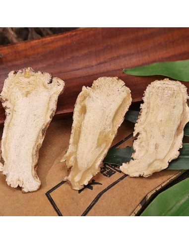 Raíz de Angélica Pura Natural Premium 500g - Dang Gui