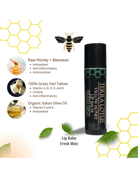 Bálsamo Labial Orgánico Terra Lotus Menta Fresca - Hidratante 5 Unidades Bálsamo Labial Orgánico Terra Lotus Menta Fresca - Hidratante 5 Unidades