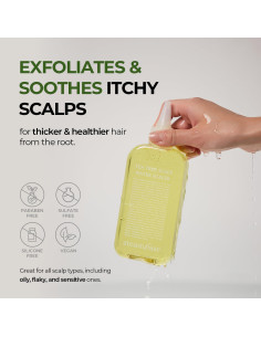 Exfoliante de Cuero Cabelludo STEAMBASE 50 ml - Agua de Árbol de Té 2