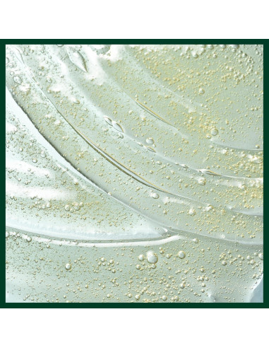 Exfoliante Cuero Cabelludo Aveda 25 ml - Tratamiento Natural