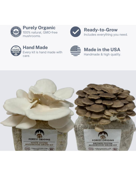 Kit de Cultivo de Champiñones Ostra Forest Origins 2-Pack Kit de Cultivo de Champiñones Ostra Forest Origins 2-Pack