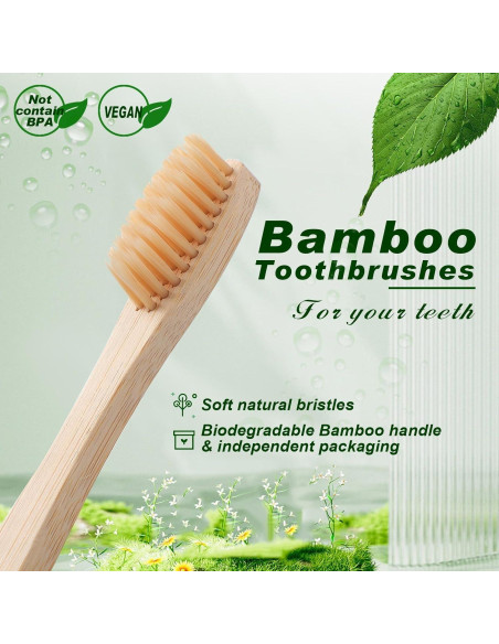 Set de 12 Cepillos de Dientes de Bambú Sieral - Cerda Suave Set de 12 Cepillos de Dientes de Bambú Sieral - Cerda Suave
