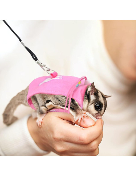 Arnés y Correa Ajustable para Sugar Glider vomvomp - Seguridad y Comodidad Arnés y Correa Ajustable para Sugar Glider vomvomp - Seguridad y Comodidad