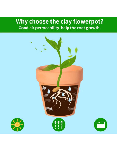 Macetas de Terracota TKSCUSR 7.95 cm con Plato - Paquete de 20 Macetas de Terracota TKSCUSR 7.95 cm con Plato - Paquete de 20