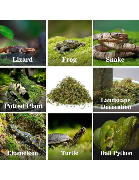 Musgo Sphagnum H-Re para Reptiles - 141.75g de Turba Verde Musgo Sphagnum H-Re para Reptiles - 141.75g de Turba Verde