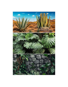 Fondo para Terrario 3 Pcs Helidrago 91x46 cm Estilo Desierto