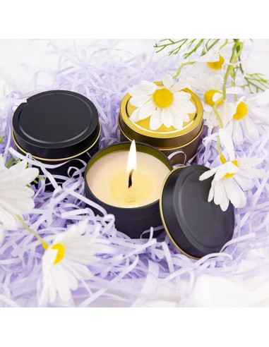 Kit de Fabricación de Velas WAYONE - Cera de Soja, 5 Aromas