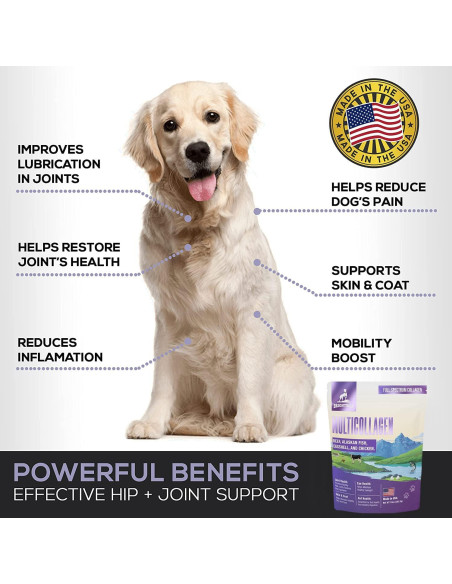 Suplemento de Colágeno Líquido para Perros Brightway 226g Suplemento de Colágeno Líquido para Perros Brightway 226g