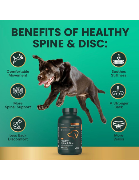 Suplemento Espinal VetriScience Healthy Spine 180 Cápsulas Suplemento Espinal VetriScience Healthy Spine 180 Cápsulas